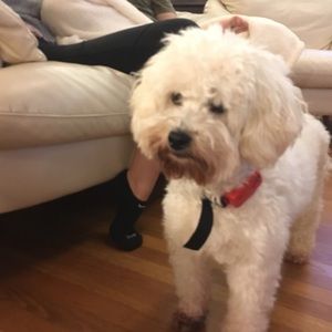 Meet your Posher, Chara